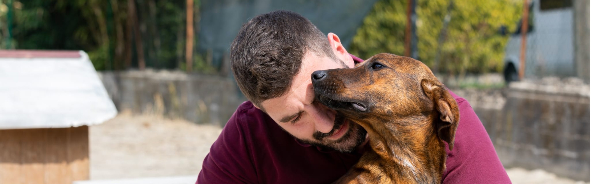 Coccole pet Torino Asilo per animali, Rifugio per animali, Toelettatura, Taxi dog, Incontri amorosi Coccole pet Torino Asilo per animali, Rifugio per animali, Toelettatura, Taxi dog, Incontri amorosi